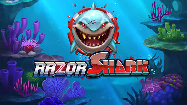 Razor Shark (Push PC Gaming): Zusammenfassung